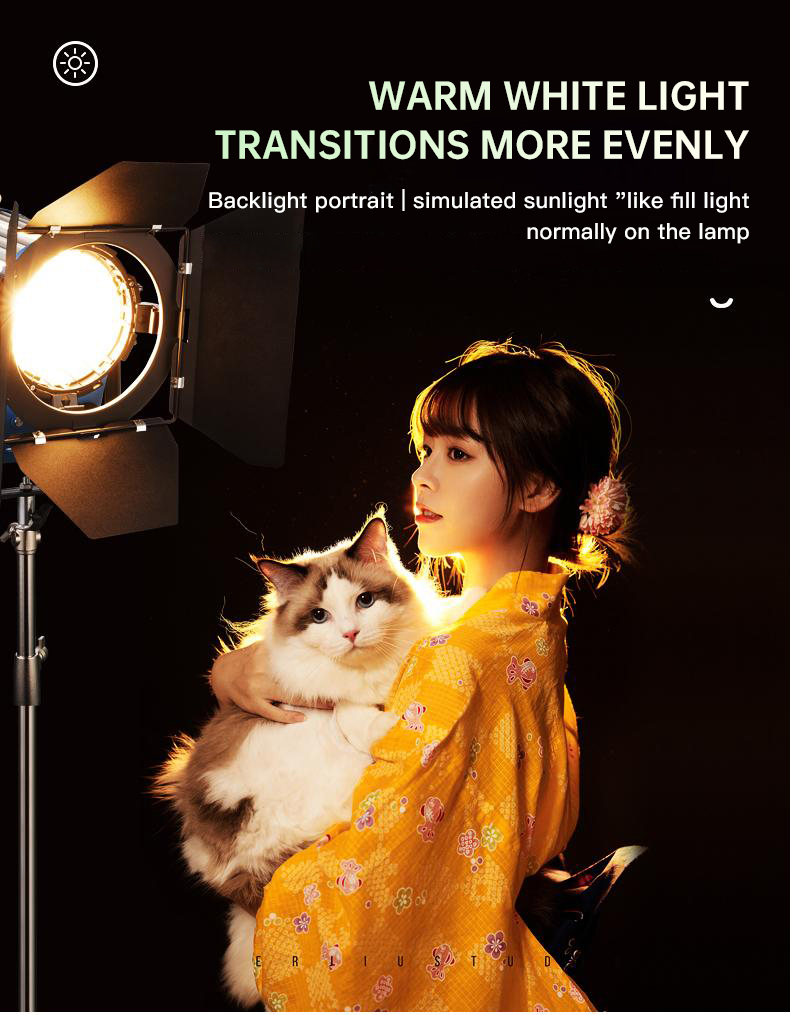 Beiyang 2000W Spot Işık Saç Iş - Photography Lighting For Indoor incelemesi ve fiyatı
