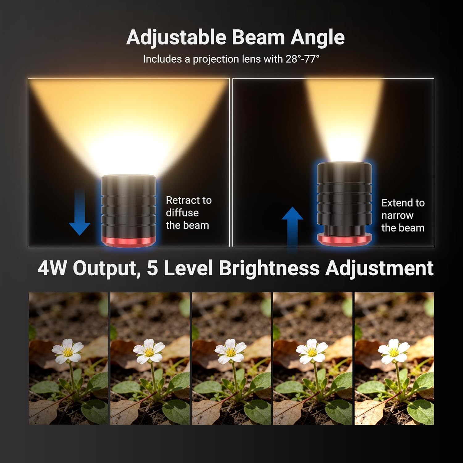 NEEWER Basics ML01 USB C LED M - Photography Lighting Basics incelemesi ve fiyatı