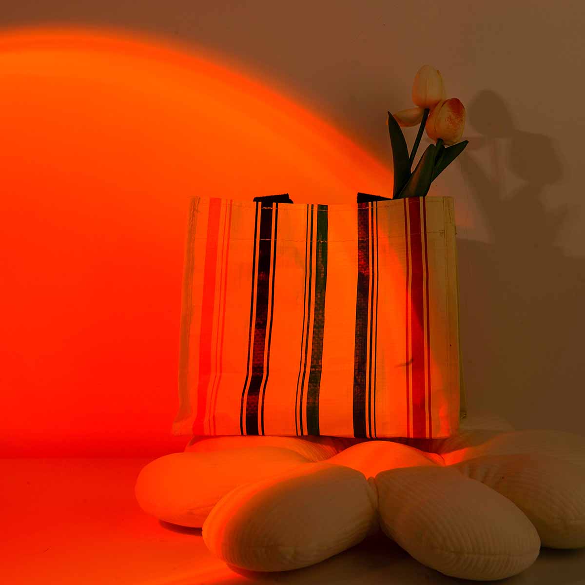 Gün Batımı Projeksiyon Lambası - Photography Lighting Setup incelemesi ve fiyatı